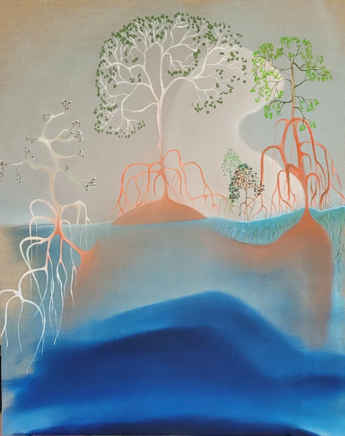 Mangrove — image 2 of 4