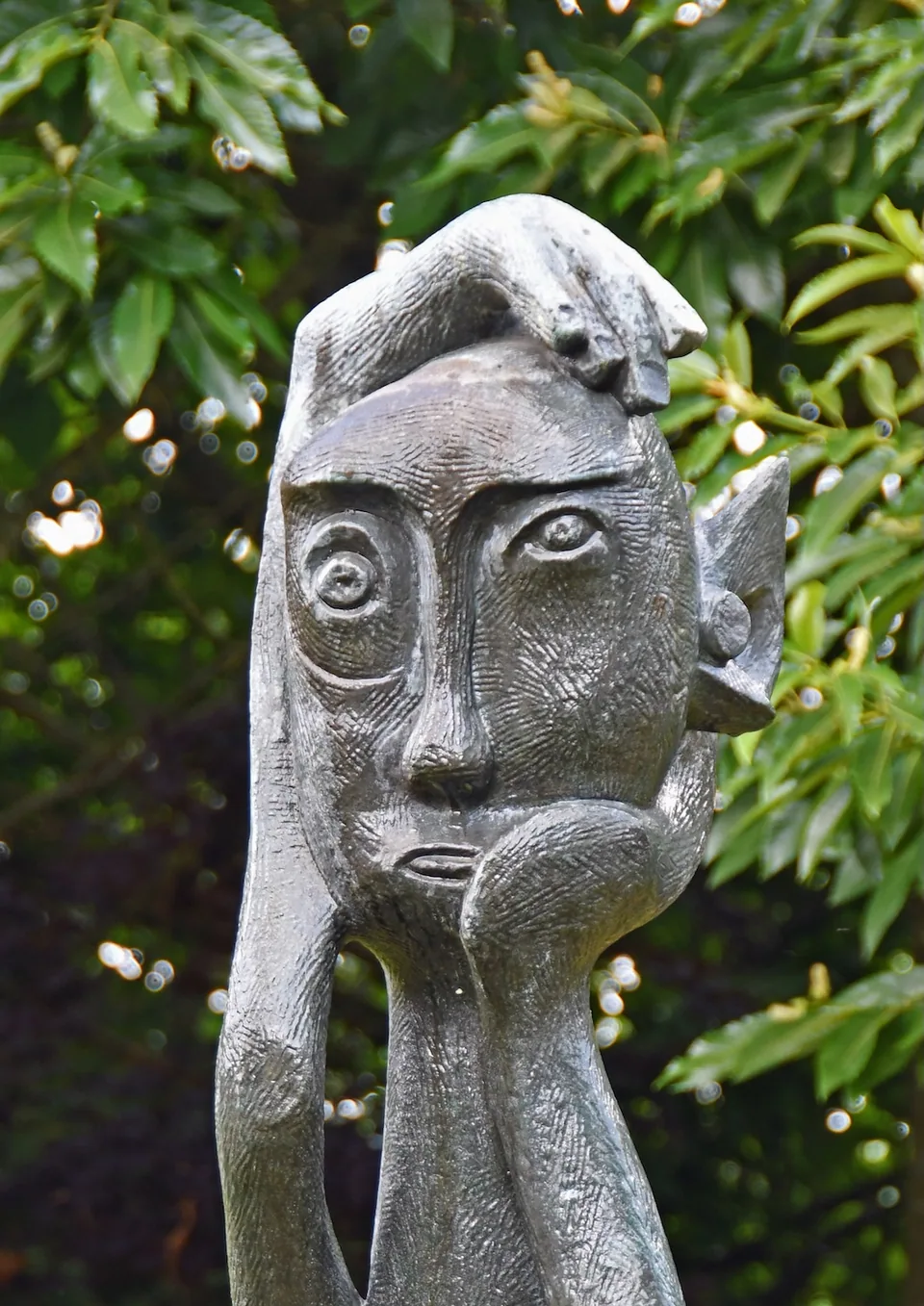 De zwangere vrouw